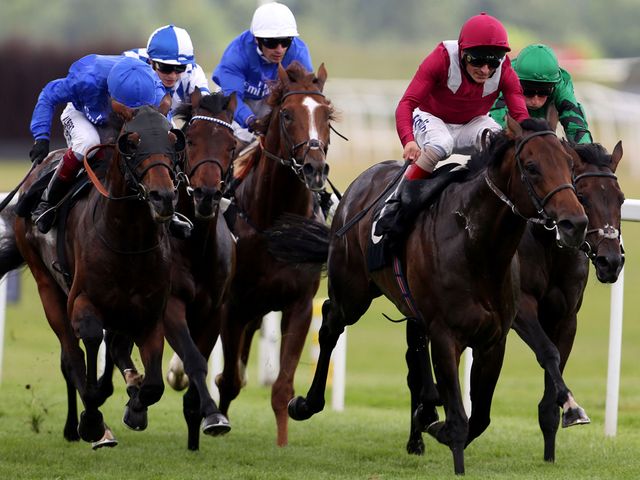 Amralah holds on narrowly from Vancouverite in the Listed Doom Bar Stakes