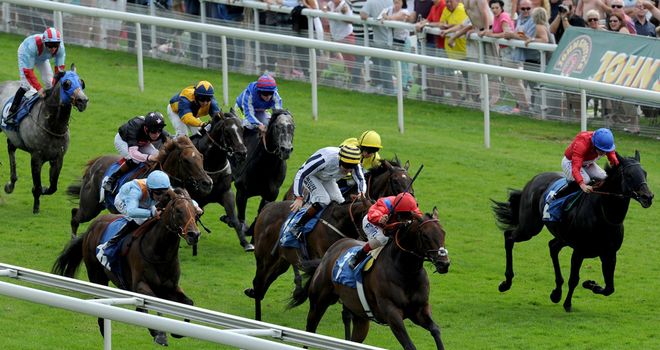 G Force: Set to take his chance in the Nunthorpe