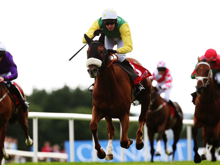 Quick Jack wins at Galway on Monday