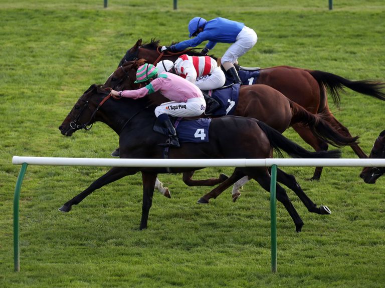 Mabait (nearside): Has attracted each-way support at Glorious Goodwood