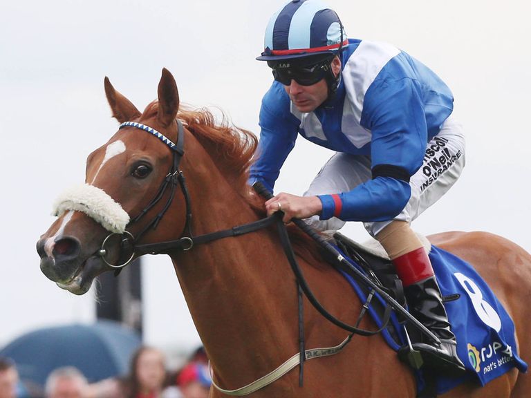 Tarfasha is 'in great order and ready to run'