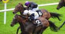 Artful Martin wins at Galway