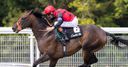 Moon shines in Glorious Stakes