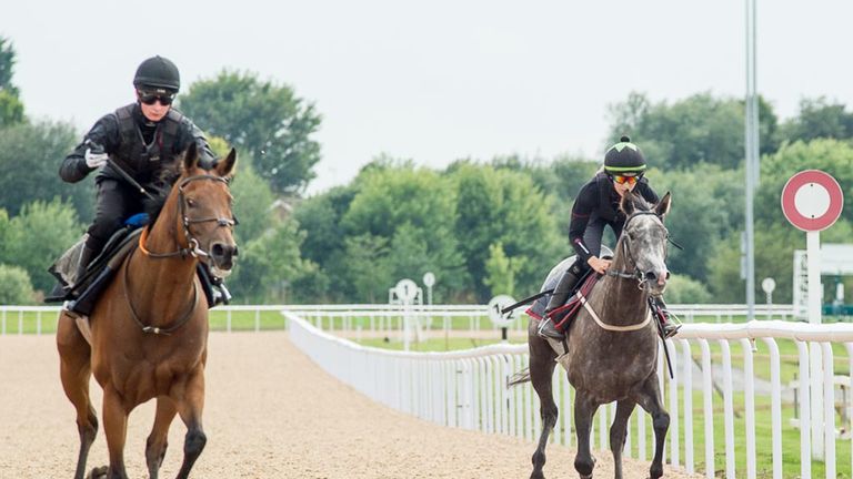 Horses pass the winning post during trials of the new Tapeta surface at Wolverhampton