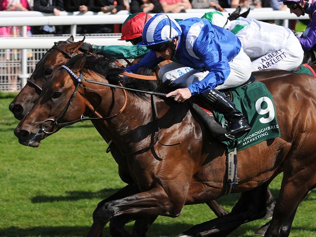 Muhaarar and Paul Hanagan win a thrilling Gimcrack by the narrowest of margins.