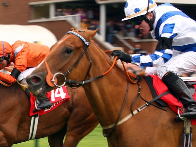 Adrian Nicholls: Kimberella the right type for Great St Wilfrid test