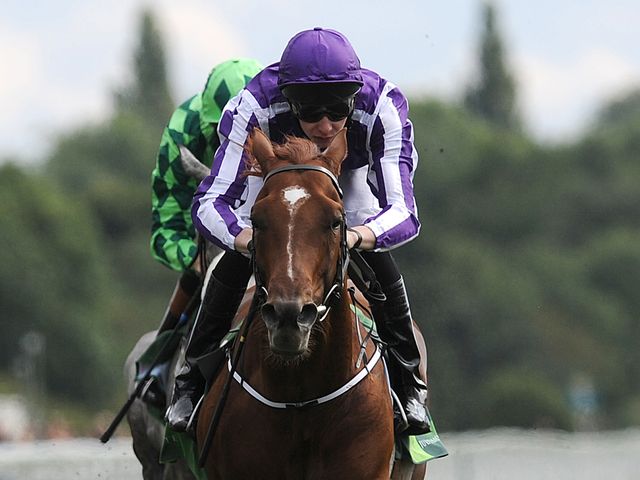 Australia leaves The Grey Gatsby in his slipsteam as he wins the Juddmonte International