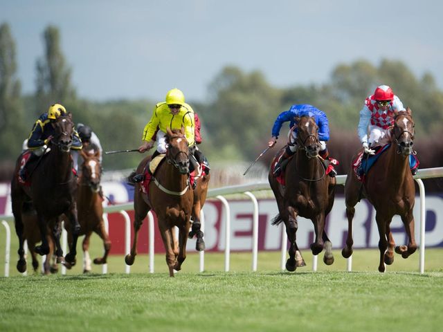 Seismos (yellow silks) emerges on the scene to deny Willing Foe (blue) and Red Cadeaux (far right).