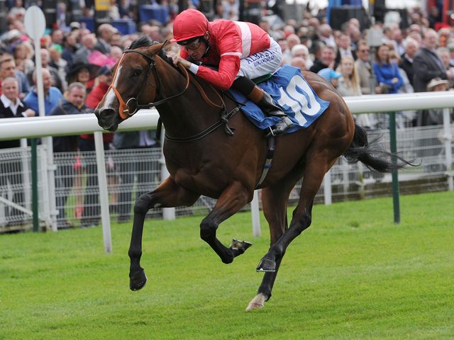 Tiggy Wiggy: Clear-cut winner.