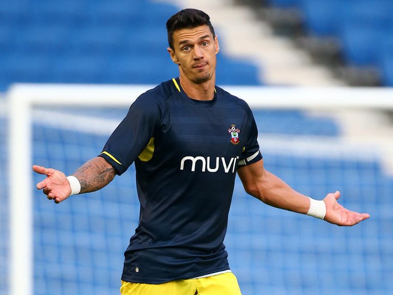 Jose Fonte: New Saints skipper