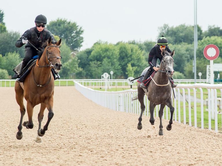 Horses pass the winning post during trials of the new Tapeta surface at Wolverhampton