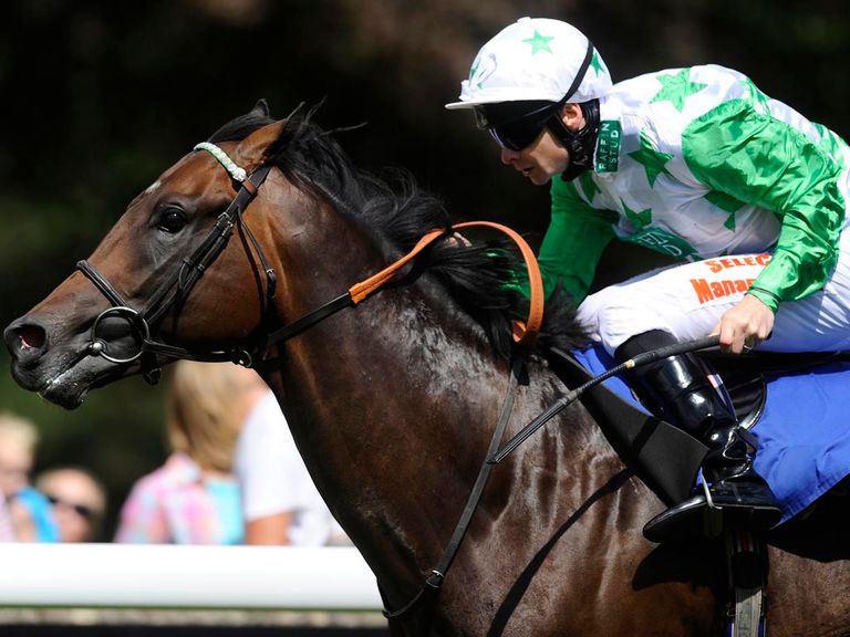 Twilight Son: Made an impressive debut at Salisbury