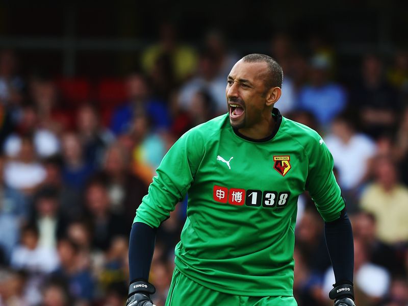 http://e0.365dm.com/14/08/800x600/fc-heurelho-gomes-watford_3183078.jpg?20140805170035