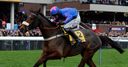 Cue Card misses Cheltenham