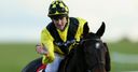 Hobbs unveils Cheltenham hopes