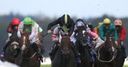 Leading chance for Intransigent