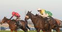 Denman date for Houblon Des Obeaux