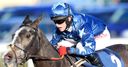 King Zeroes in on Albert Bartlett
