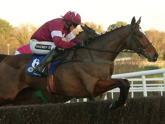 Don Poli: Set to run in the RSA Chase, along with Very Wood.