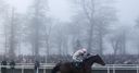 Uttoxeter on cards for My Murphy
