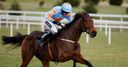 Sceaux stands out in Arkle list