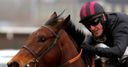 Douvan heads Supreme 17