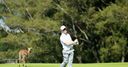 Fisher leads with Ford in hunt