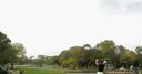 Valspar Championship leaders