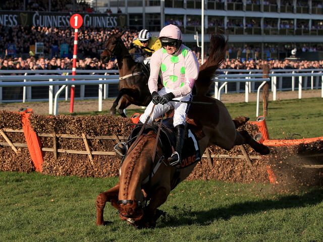 The dramatic moment when Annie Power fell at the last with the race at her mercy