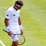David Ferrer suffers surprise defeat to Marcos Baghdatis in Nottingham - SkySports