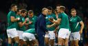 Ireland v Argentina in focus