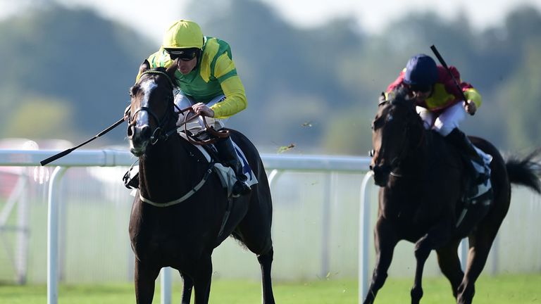 Windsor: Green light for this afternoon's card