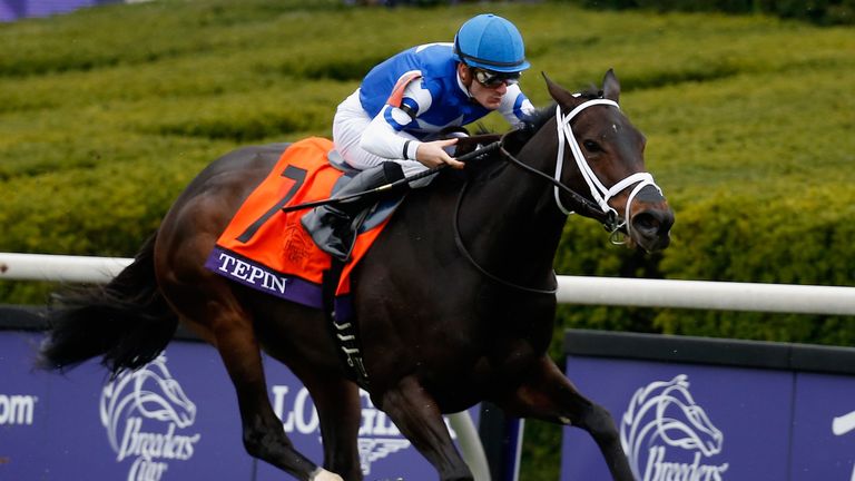 Tepin: Being aimed at the Queen Anne Stakes