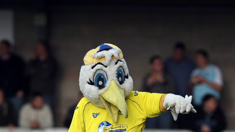 Gilbert the Gull is not a happy bird after being banned by Forest Green Rovers