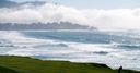 Pebble Beach celebrity gallery