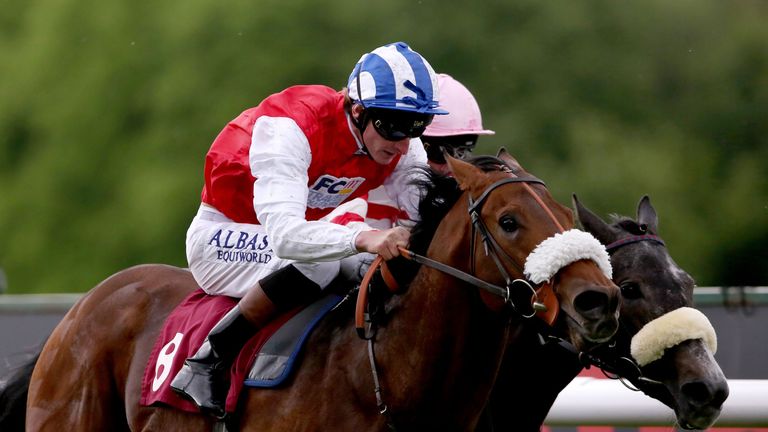 Profitable: Newmarket runner