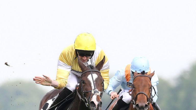 Quiet Reflection (left) misses Royal Ascot