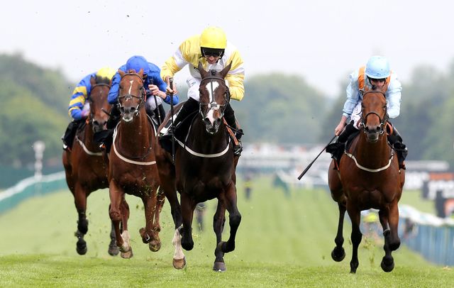 Quiet Reflection Gb 2013 B F Showcasing Gb My Delirium Gb By Haafhd Gb 1st Sandy Lane S Gb G2 6ft Horse Racing Bet Horse Racing Betting Tips Racing