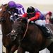 Royal glory for Dartmouth
