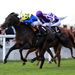 Dettori shines on Stars