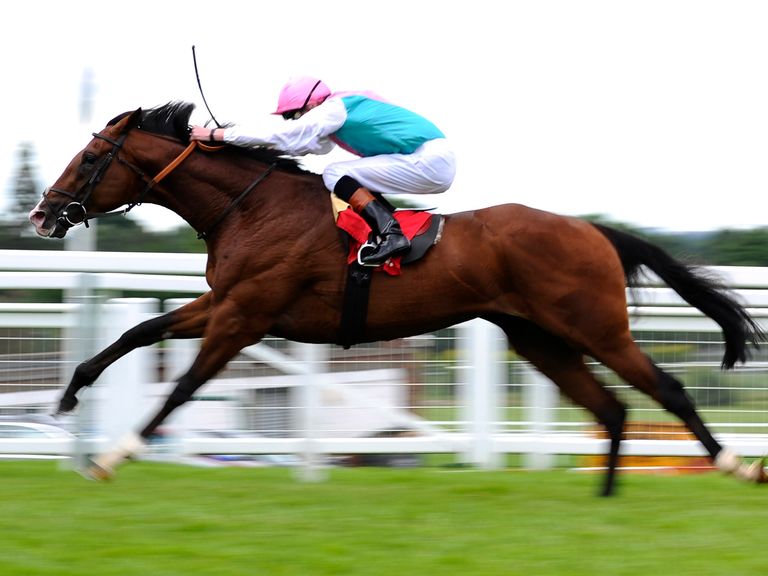 Racing Tips Zia Park Racing Tips Racing Tips Zia Park Racing Tips