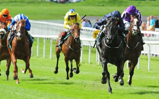 http://e0.365dm.com/16/08/640/caravaggio-horse-racing-curragh_3759772.jpg?20160807163105