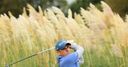 McGinley on Grove progress