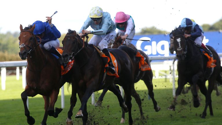 Horse racing trading systems