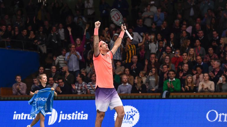 Del Potro celebrates moments after defeating Sock in the final