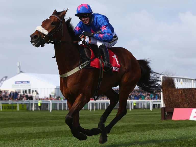Cue Card: Could easily bounce back at Haydock 