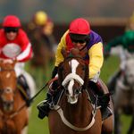 Native River back in the spring before Timico Gold Cup bid | Racing ... - SkySports