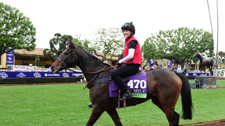 Limato cools off in the paddock in America