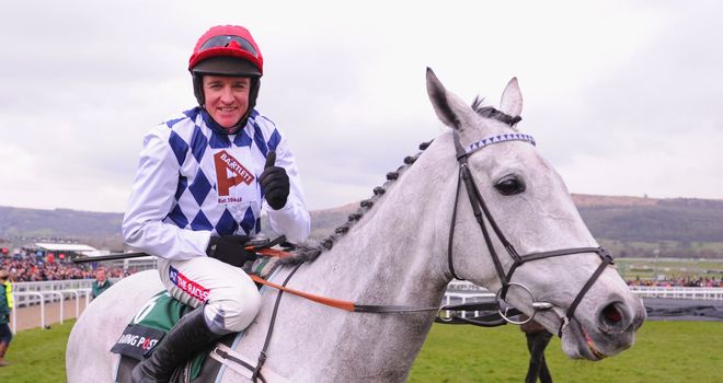 Sprinter Sacre is retired due to tendon injury