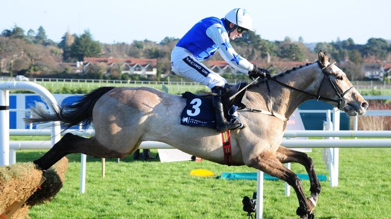 Bunk Off Early: Could return to Cheltenham